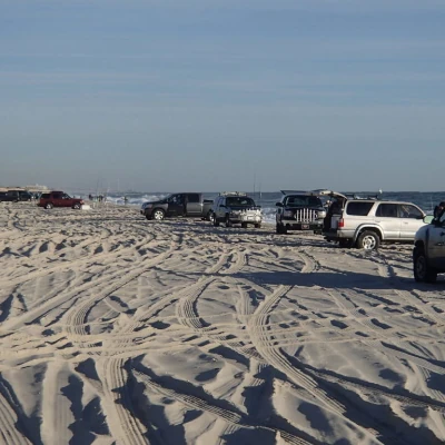 Several cars parked on the beach and anglers fishing in the background