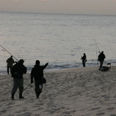 Several anglers fishing on the beach