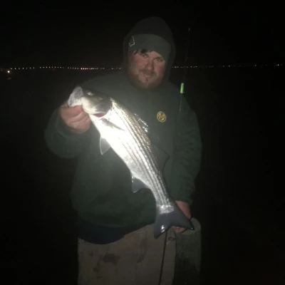 An angler holding a striped bass at night