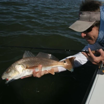 An angler leaning over the side of a boat holding a redfish