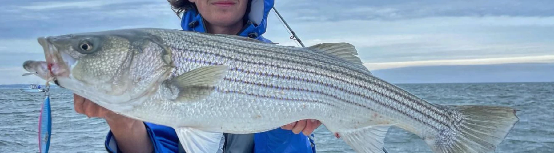 an angler holding a striped bass