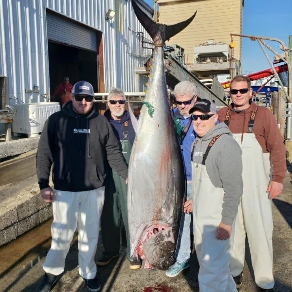 A group of anglers showing off a giant bluefin tuna